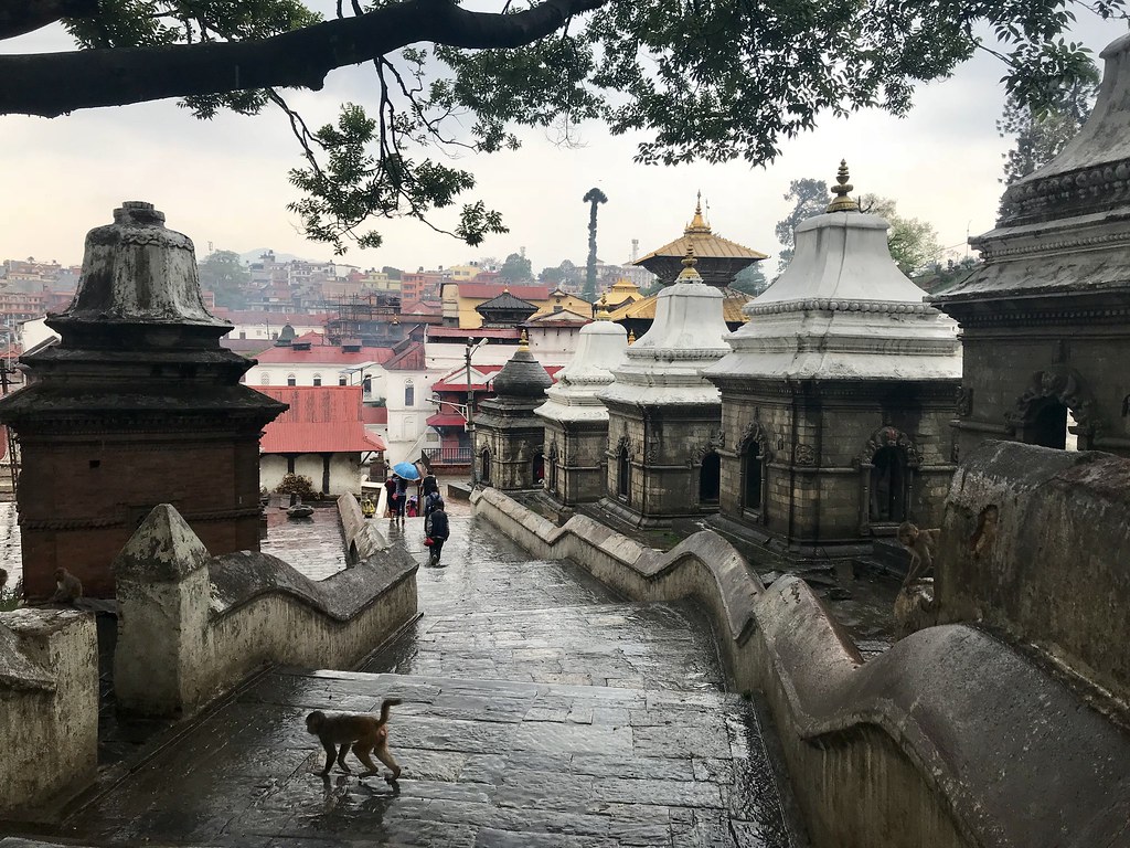 28710049388_cb11d4db7f_b