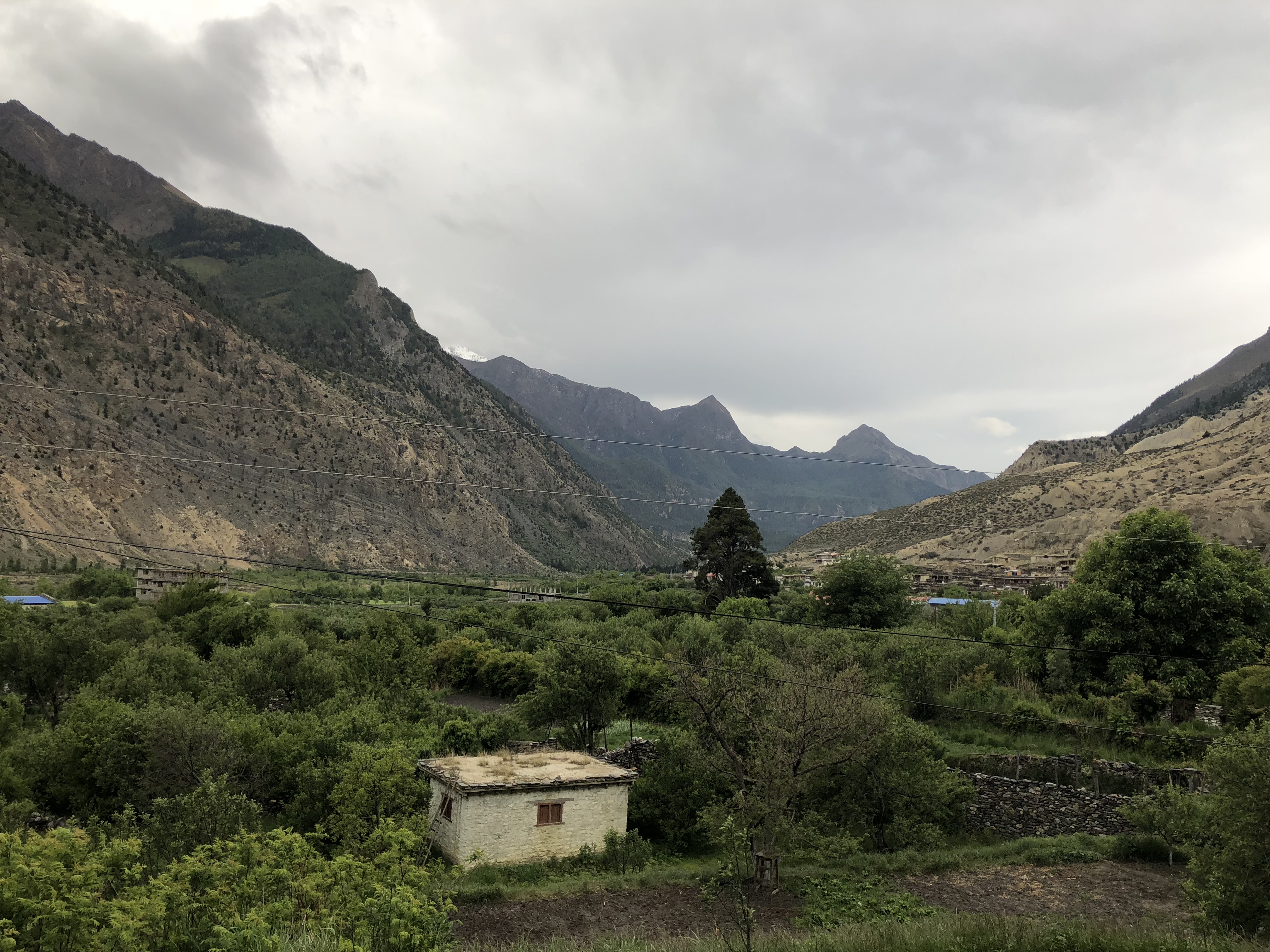 Annapurna_Conservation_Area,_Jomsom,_Mustang_District,_Nepal_16