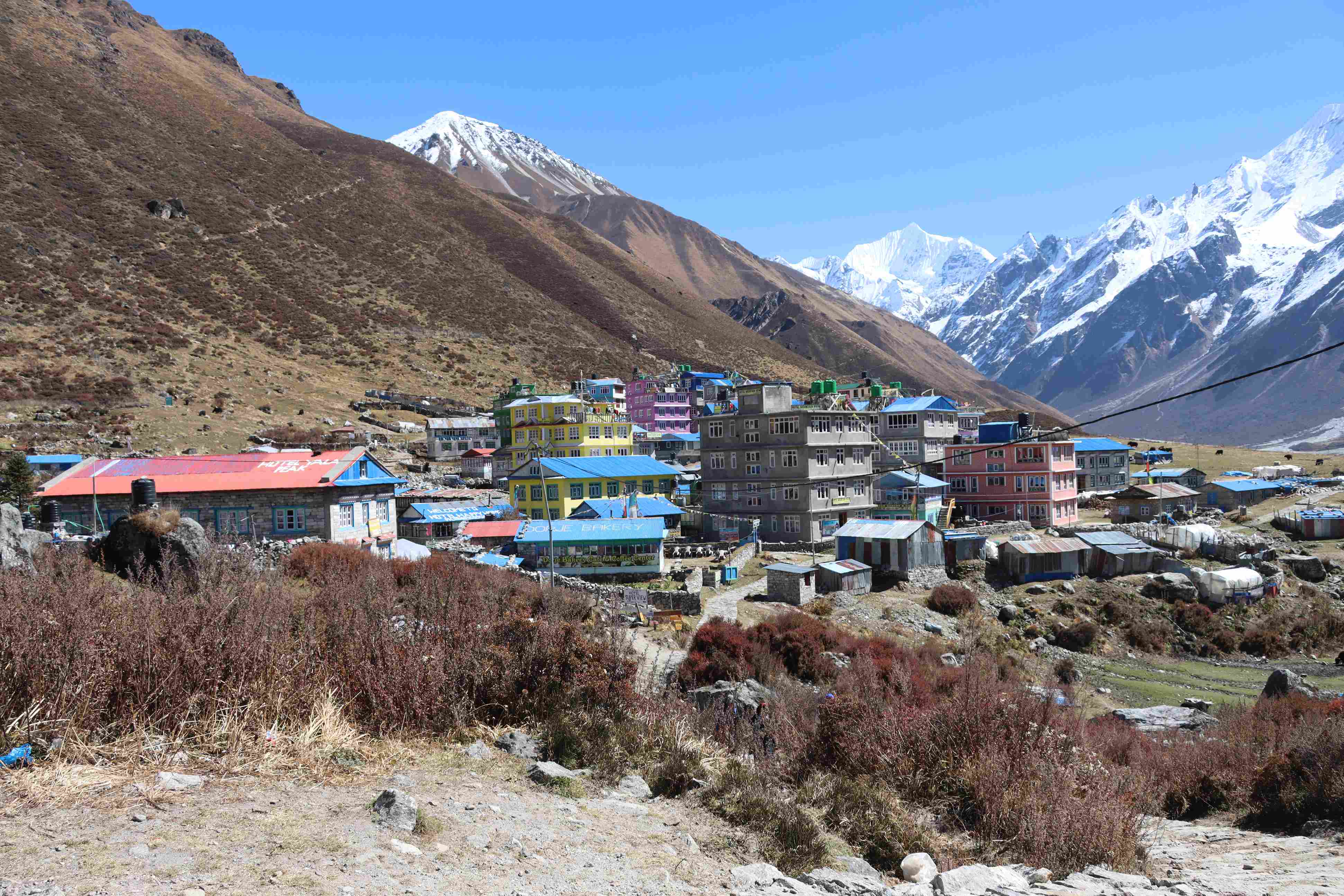 Kyanjin Gompa Village