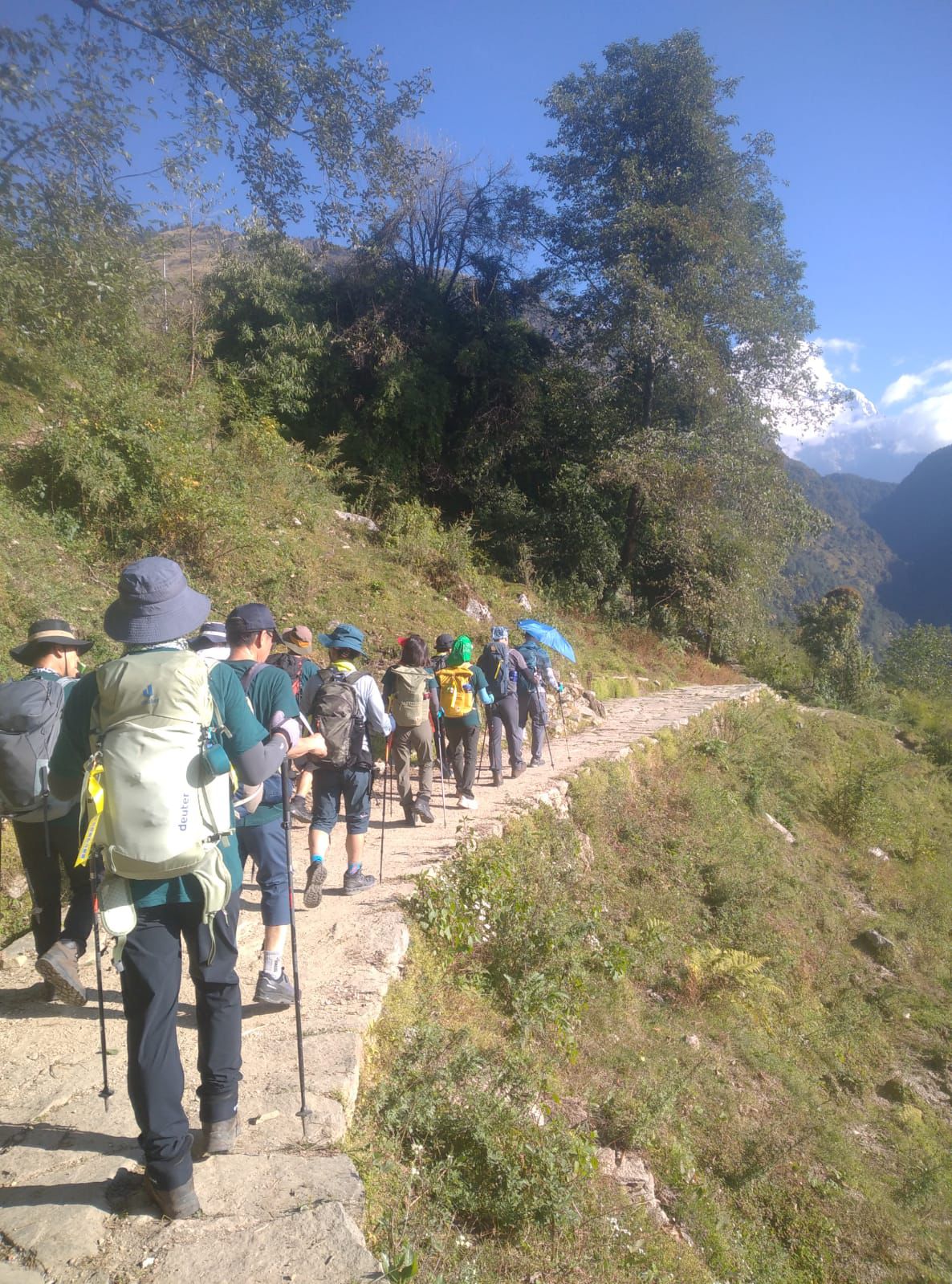 Korean Trekkers In Nepal